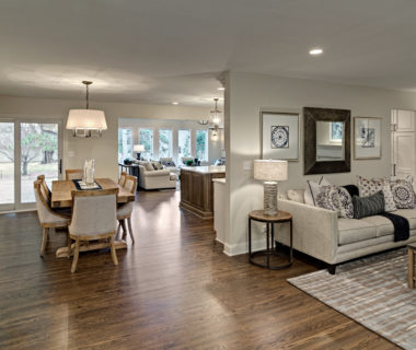 Edina showcase living-dining